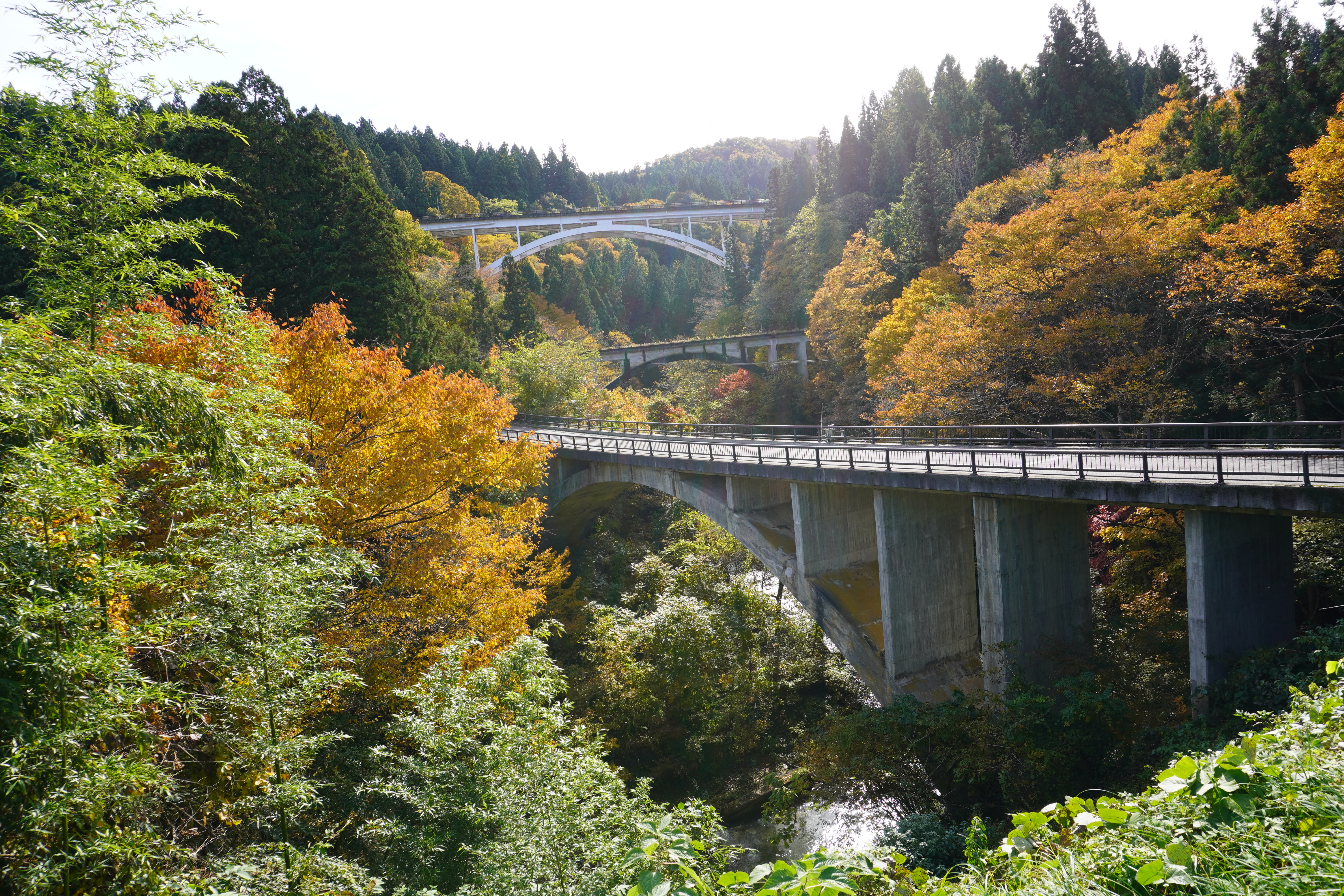 アーチ三兄弟秋の画像