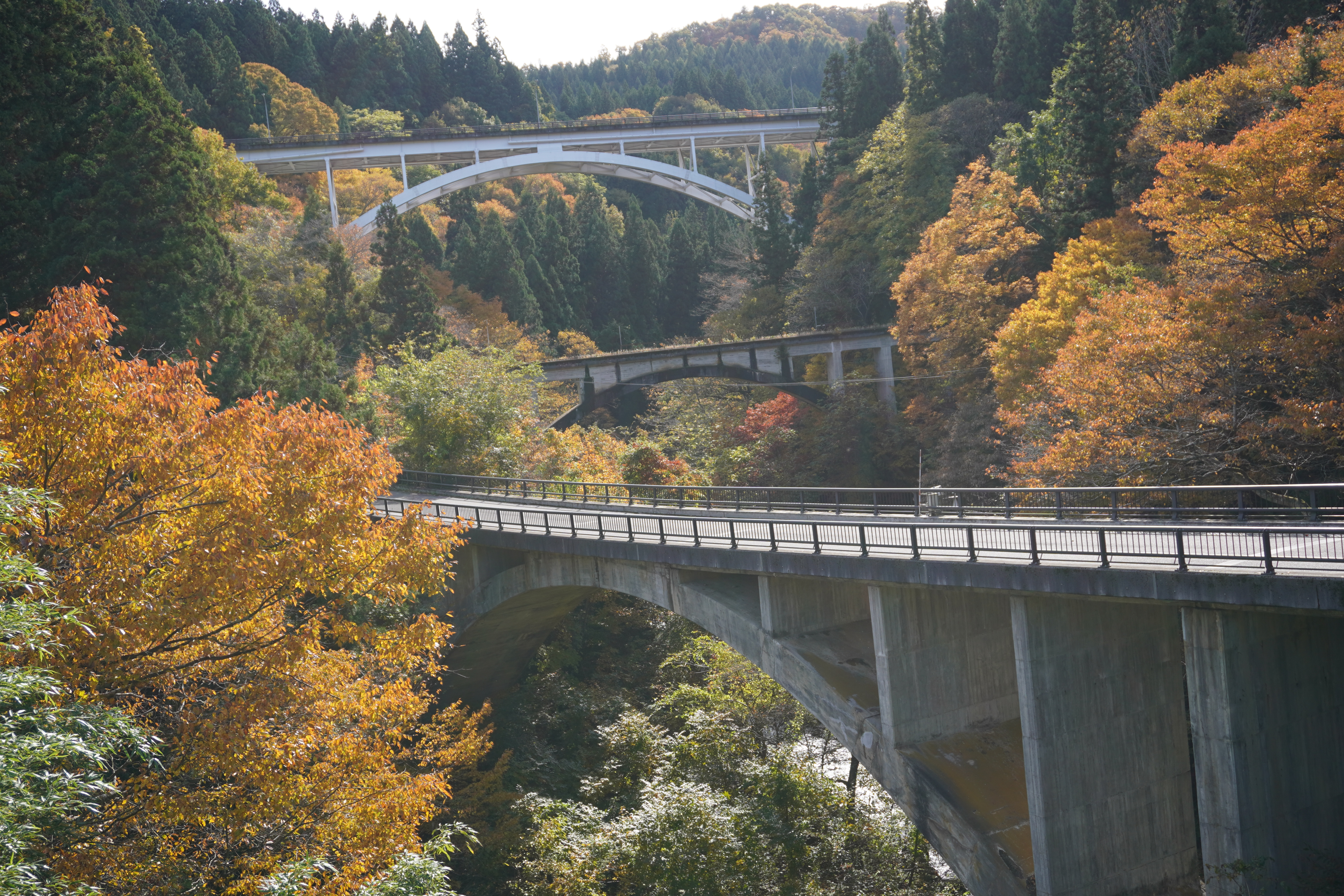 アーチ3兄弟秋の画像2