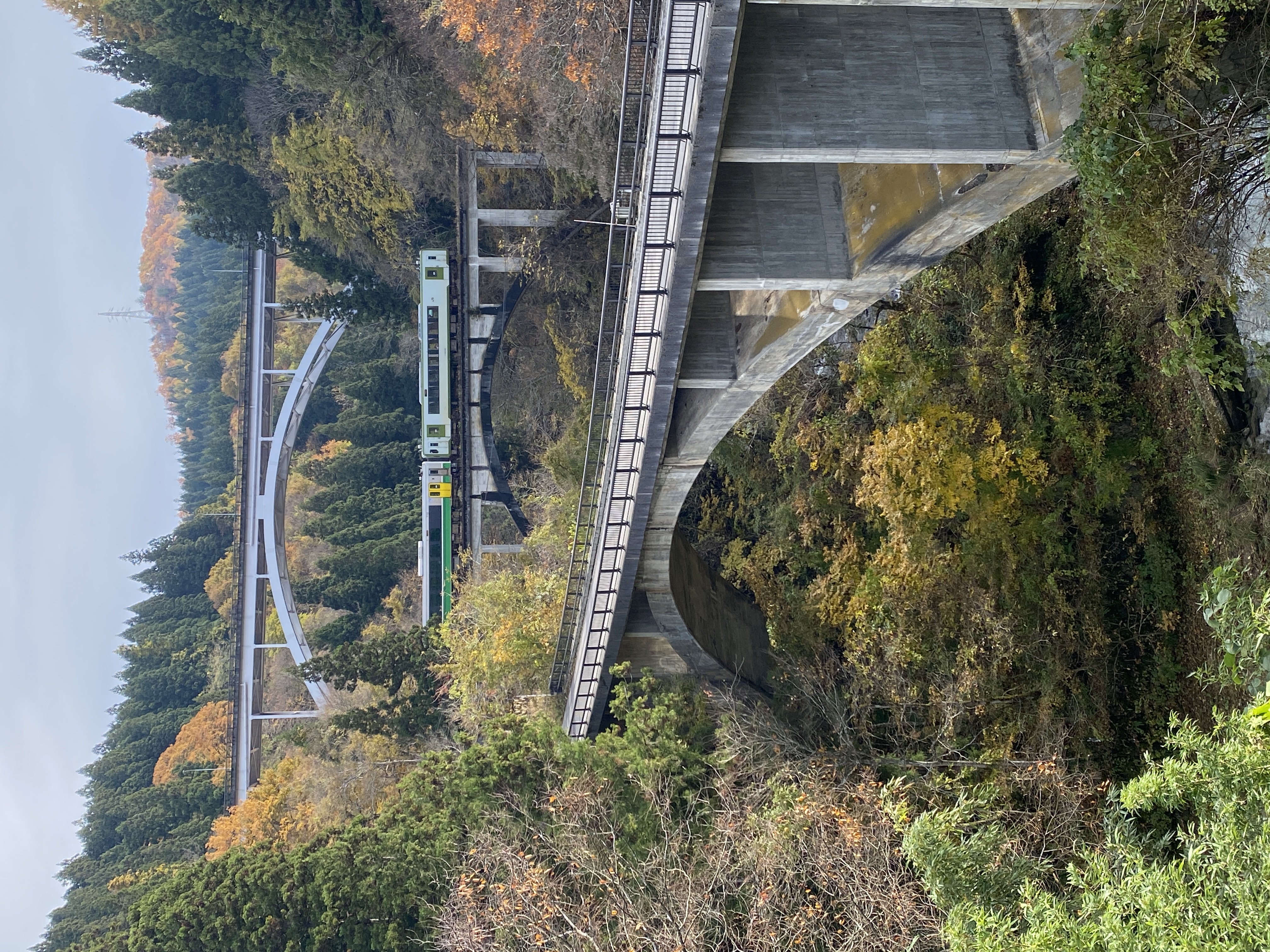 アーチ3兄弟の画像