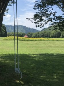 美坂高原内の木陰の写真