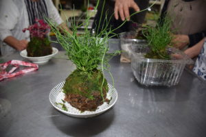 完成したこけ玉の写真