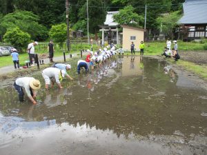 田植えの様子2