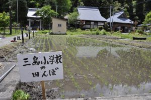 三島小学校の田んぼの写真