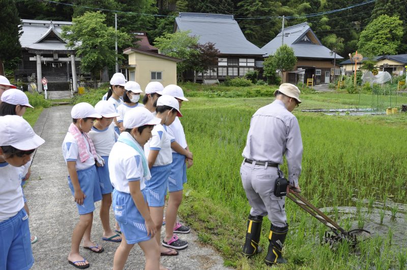除草作業の様子1