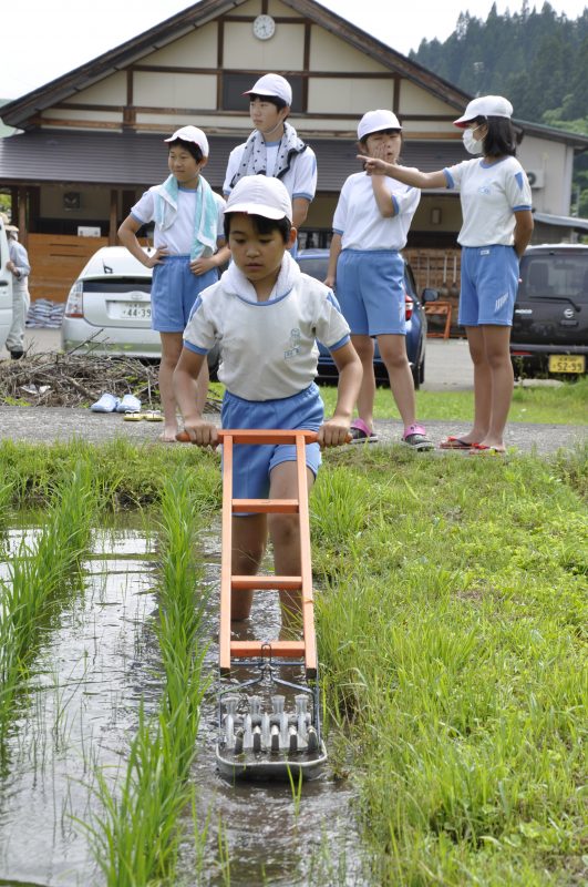 除草作業の様子2