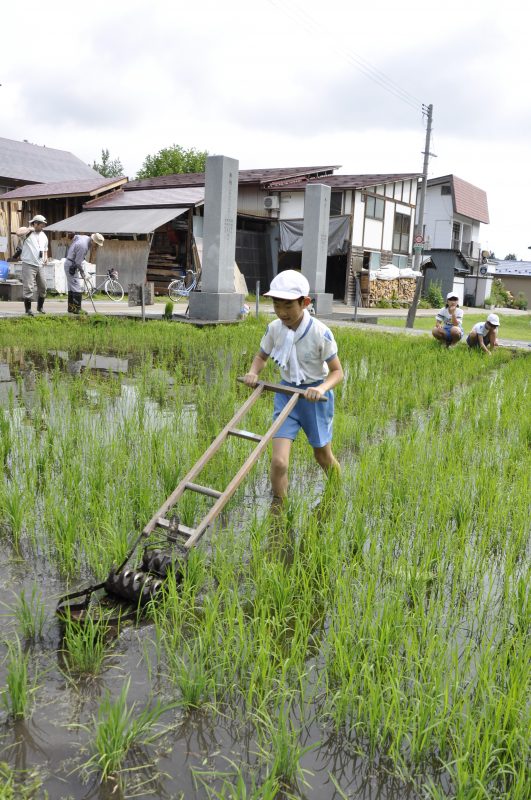 除草作業の様子3