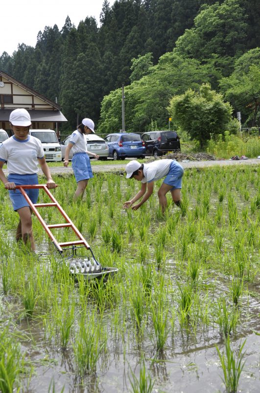 除草作業の様子4