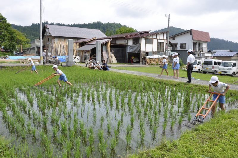 除草作業の様子5
