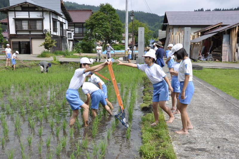 除草作業の様子6