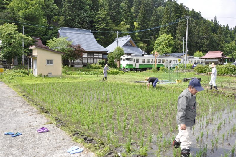 除草作業の様子7