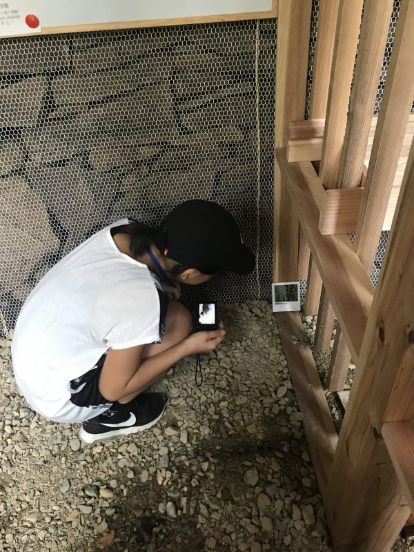 体験室で温度計を見ている子どもの写真