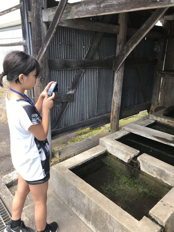 桑原の湧き水の写真1