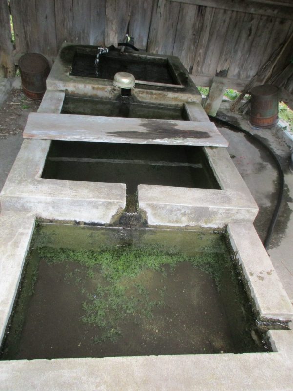 桑原の湧き水の写真2
