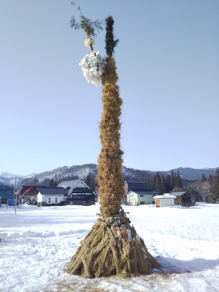 立てた御神木の写真