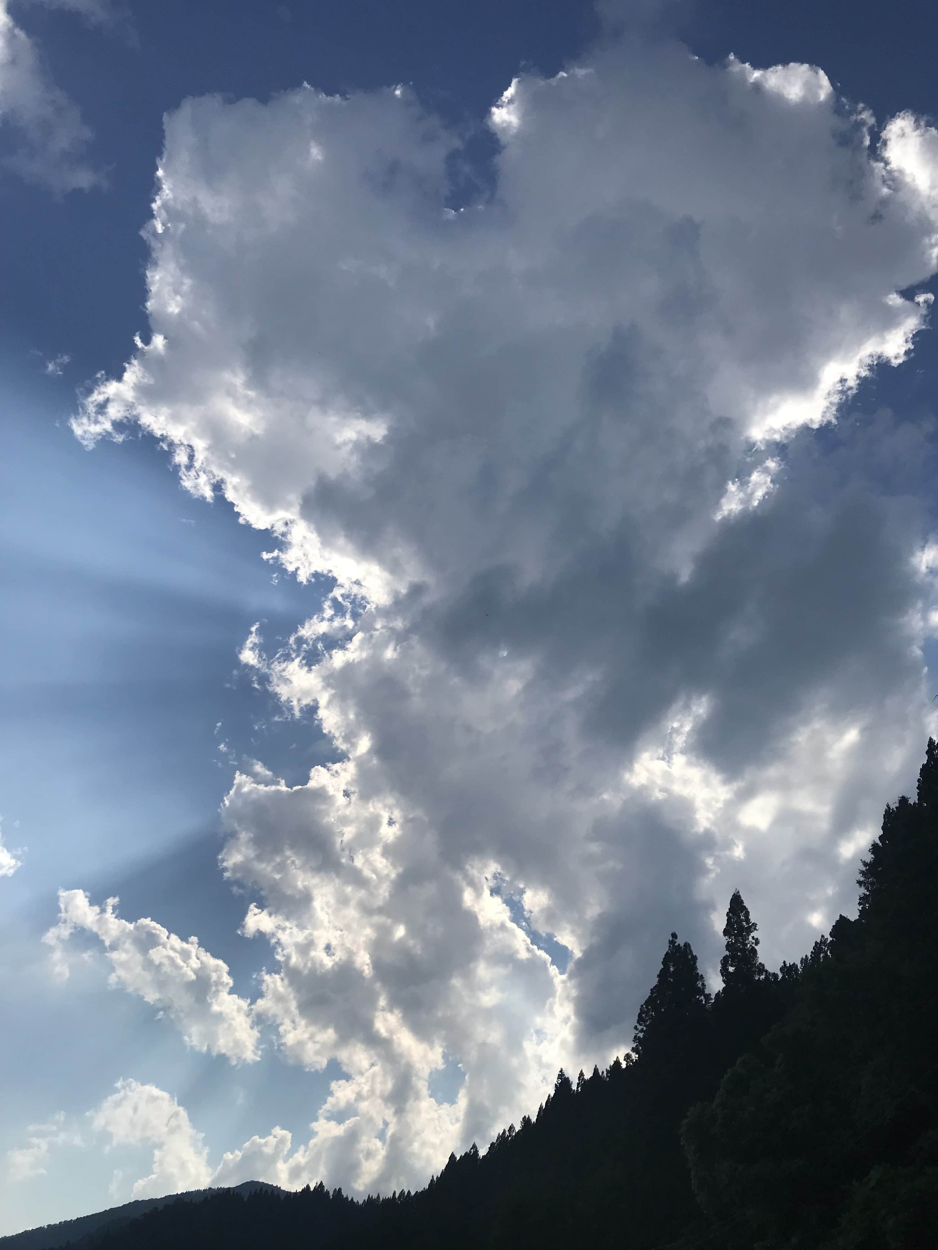 雲の写真