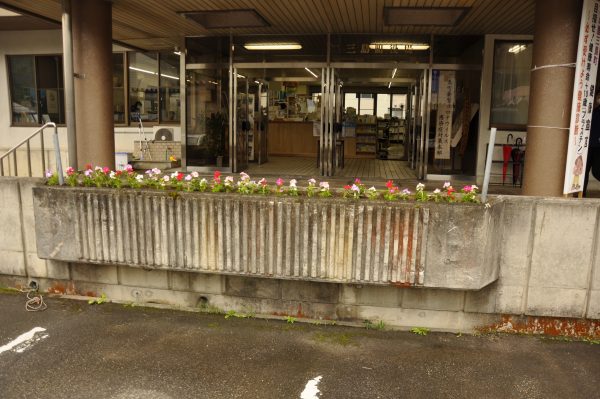 花壇の写真