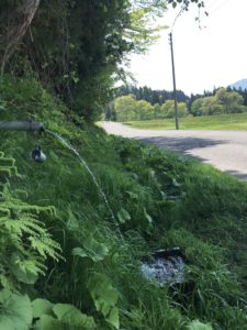湧き水の写真