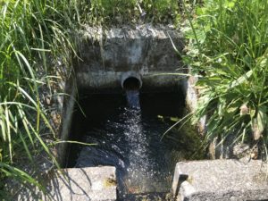 湧き水の写真2