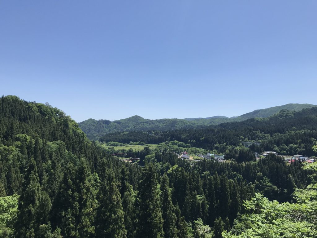 夏の風景
