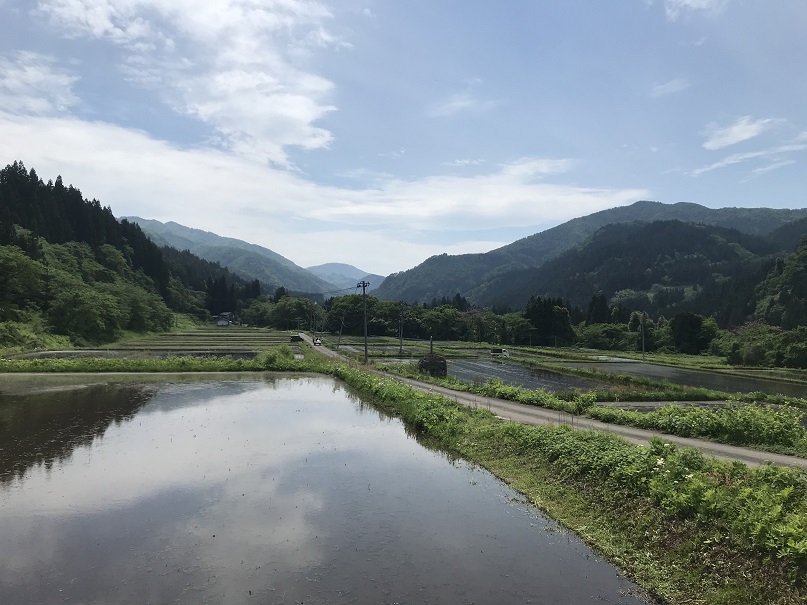 仲川井の写真