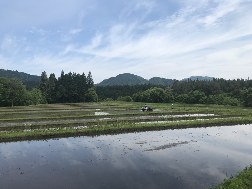 大石の写真