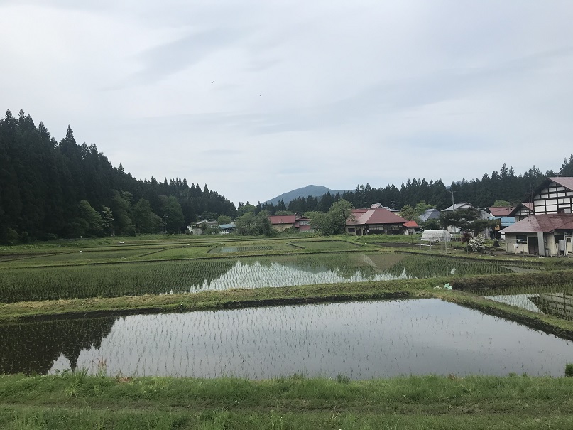 桧原
