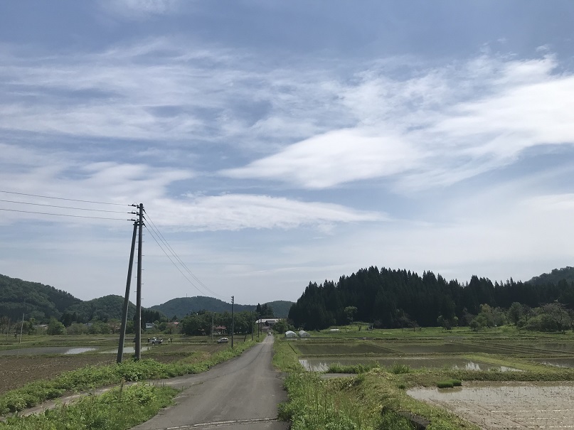 稲表