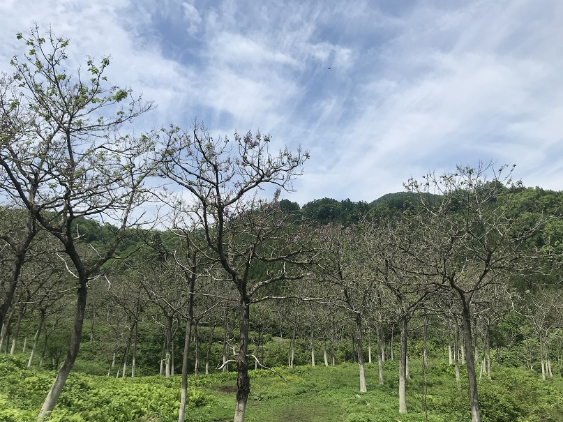 黒男山