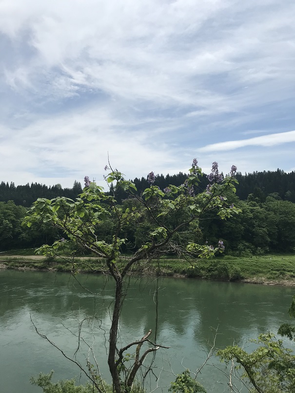 ふるさと荘前桐