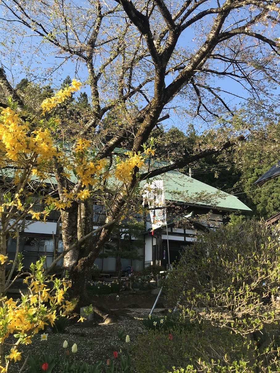 きんもくせいと旗