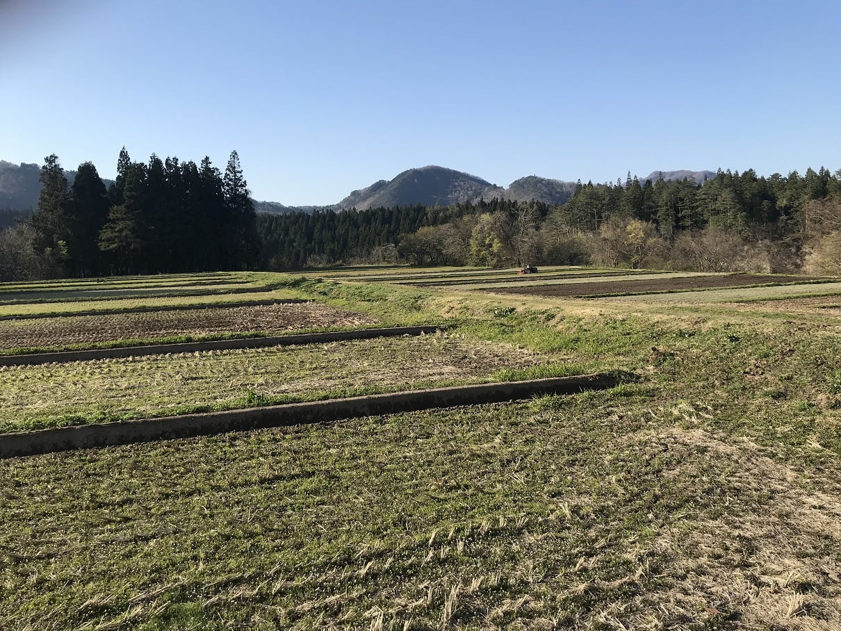 田んぼ作業