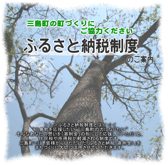 ふるさと納税制度ご案内パンフレット表紙