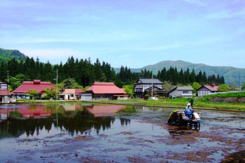 季節の画像　春23