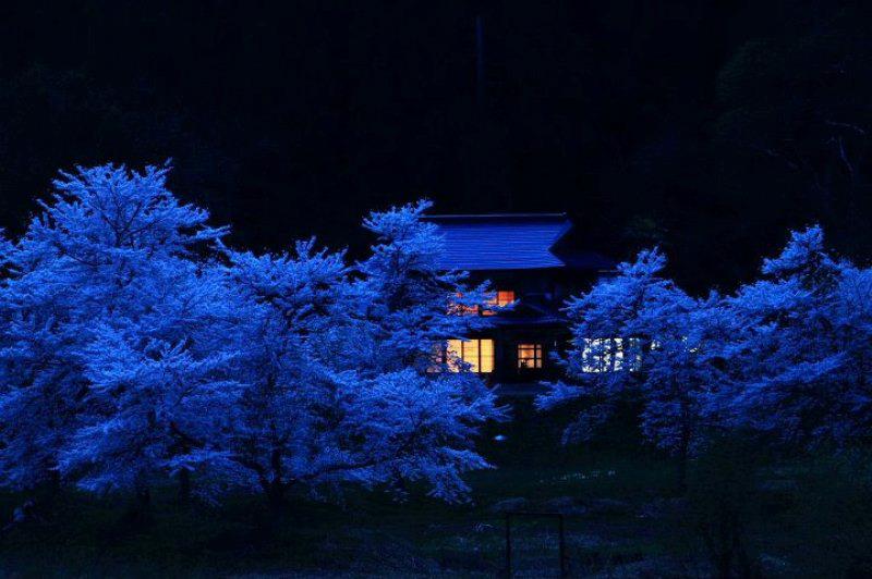 季節の画像　春24