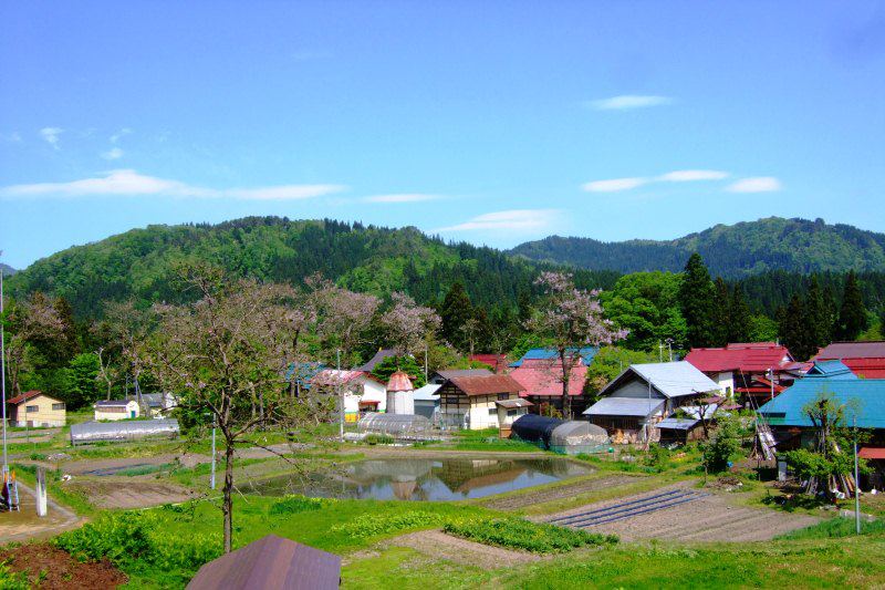 季節の画像　春27