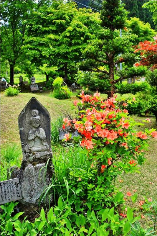季節の画像　春33