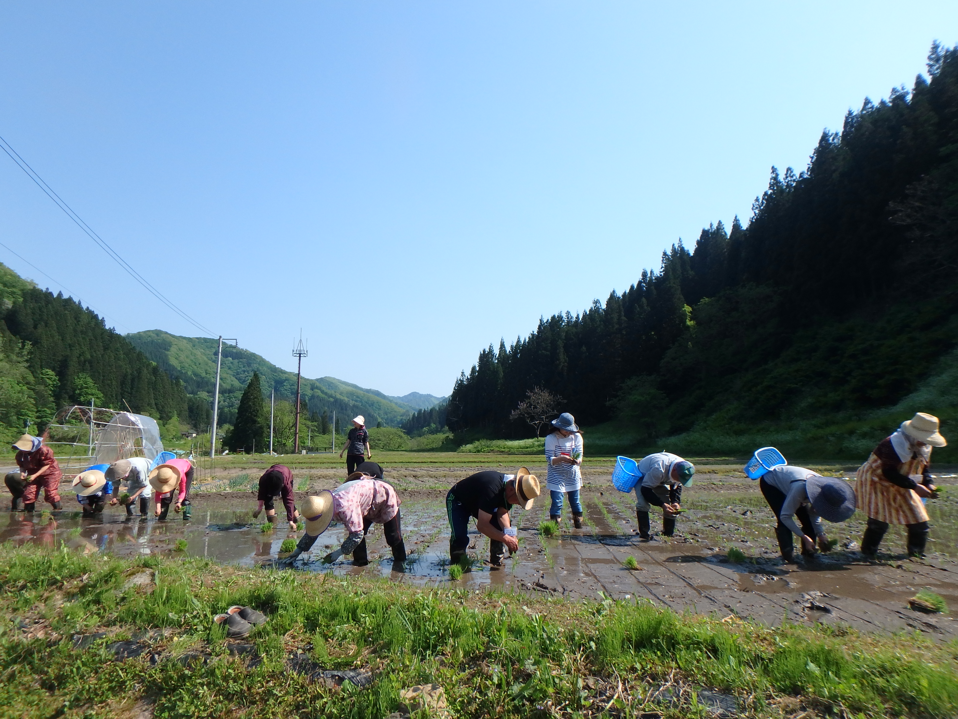 季節の画像　春46