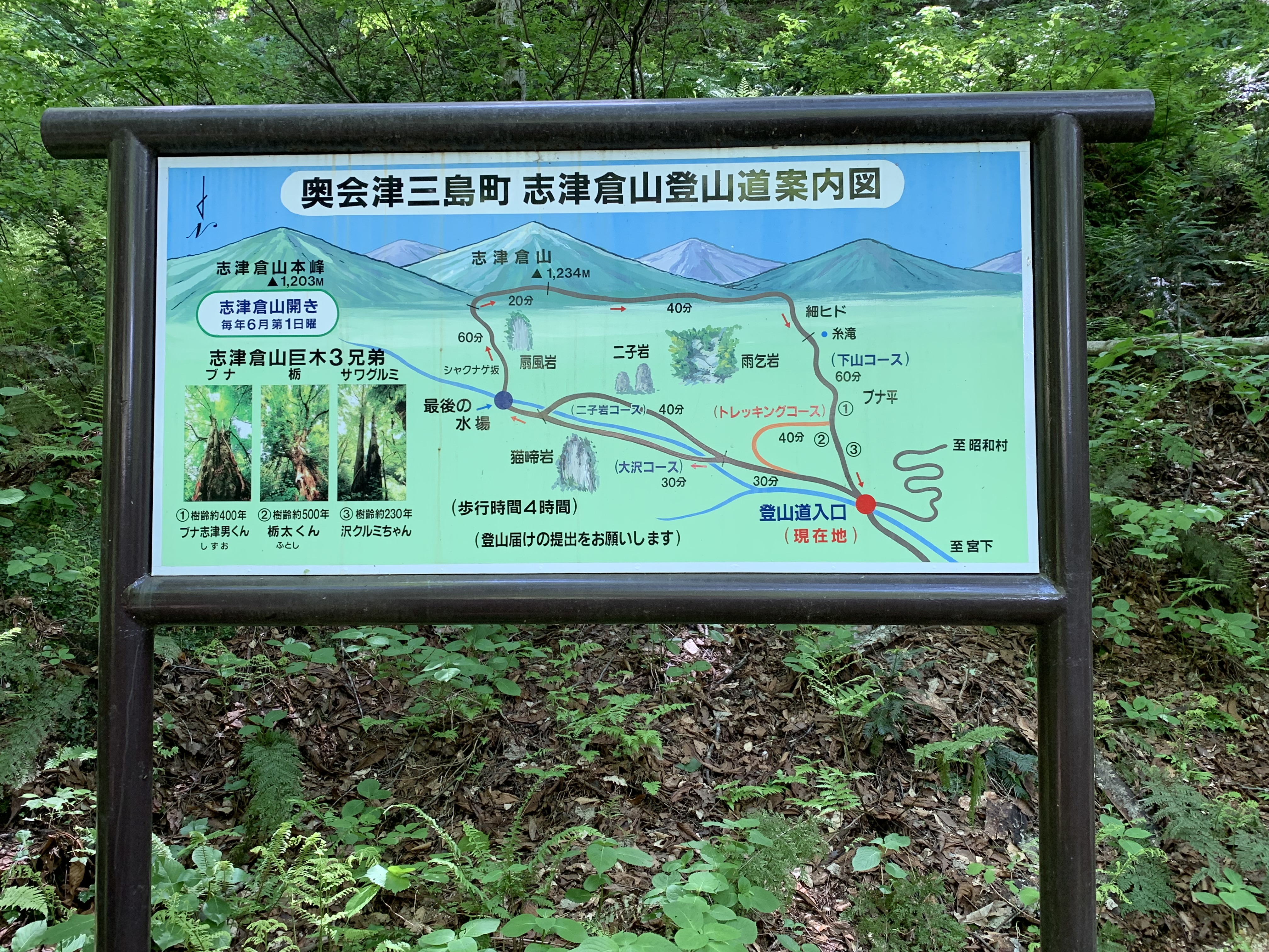 季節の画像　夏02