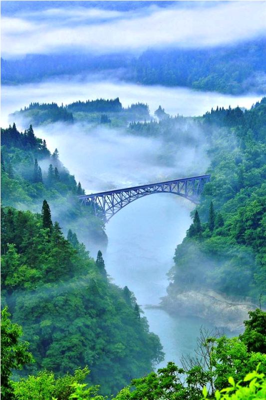 季節の画像　夏34