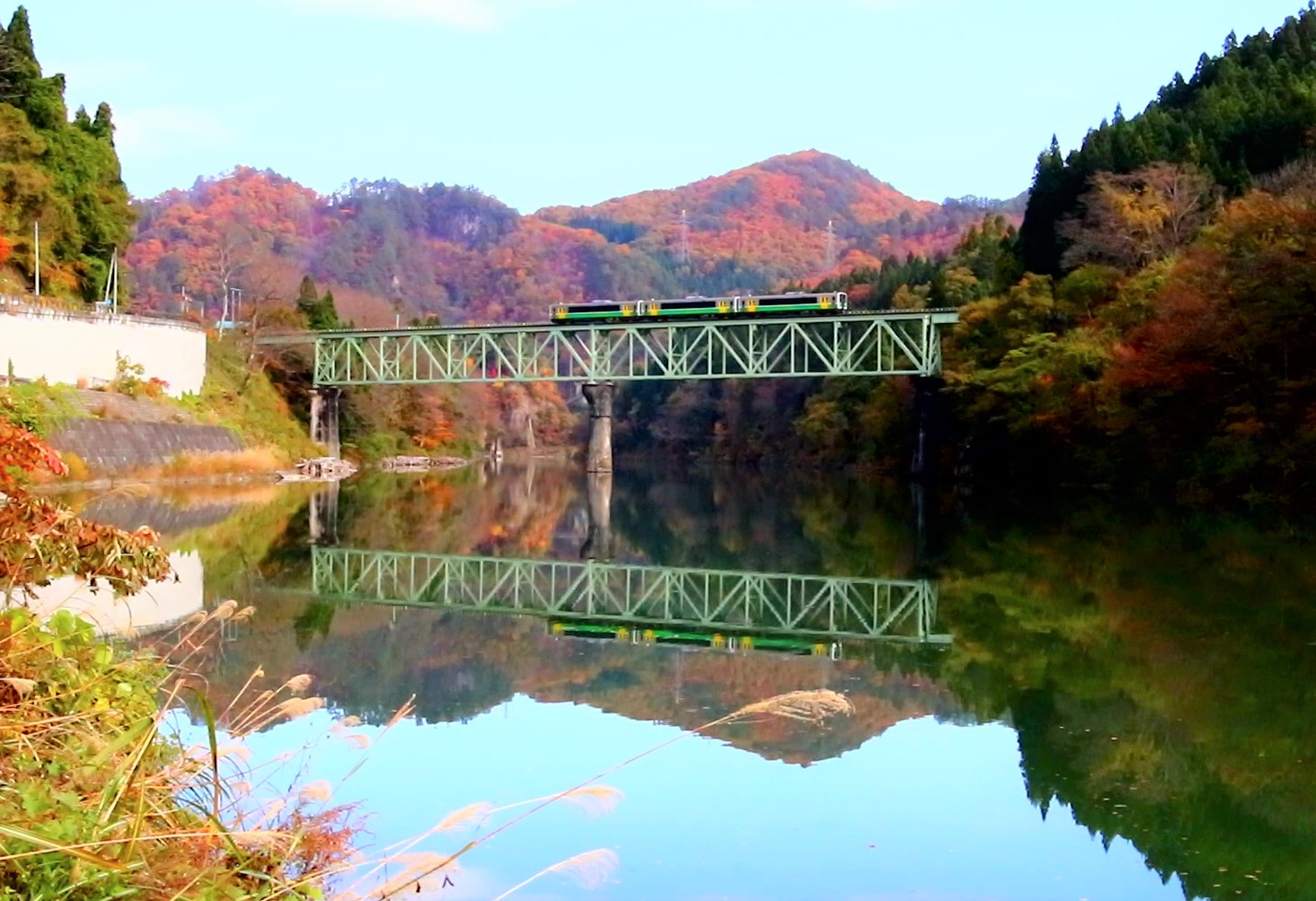 季節の画像　夏45