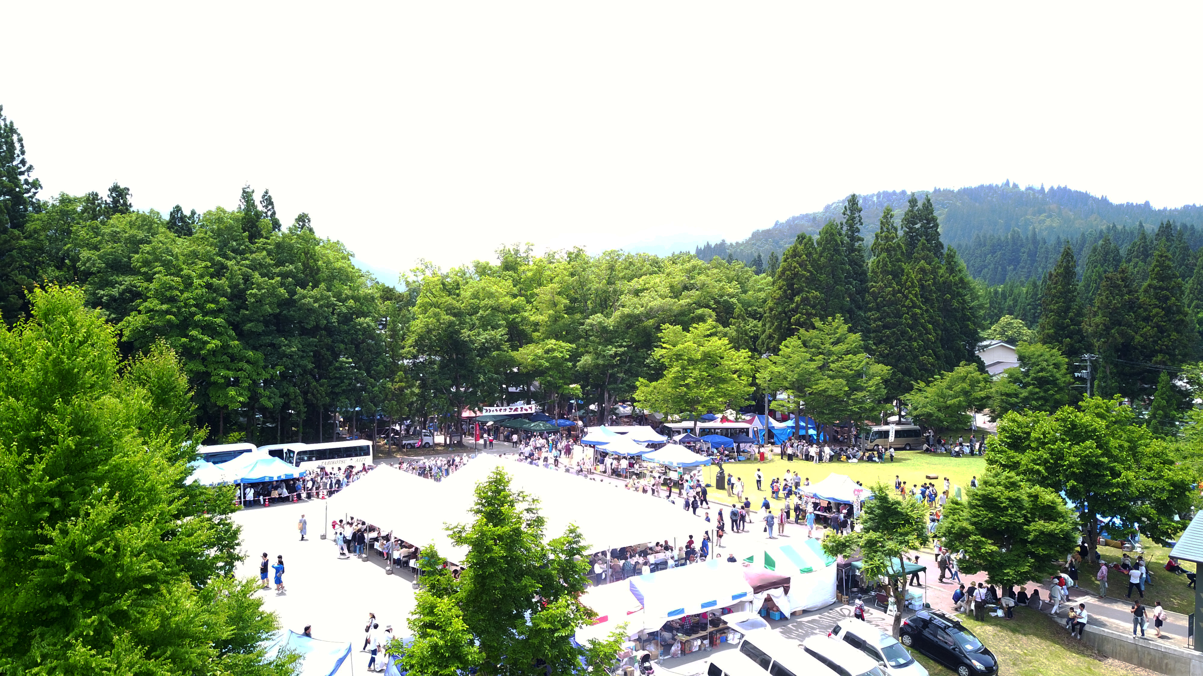 季節の画像　夏06