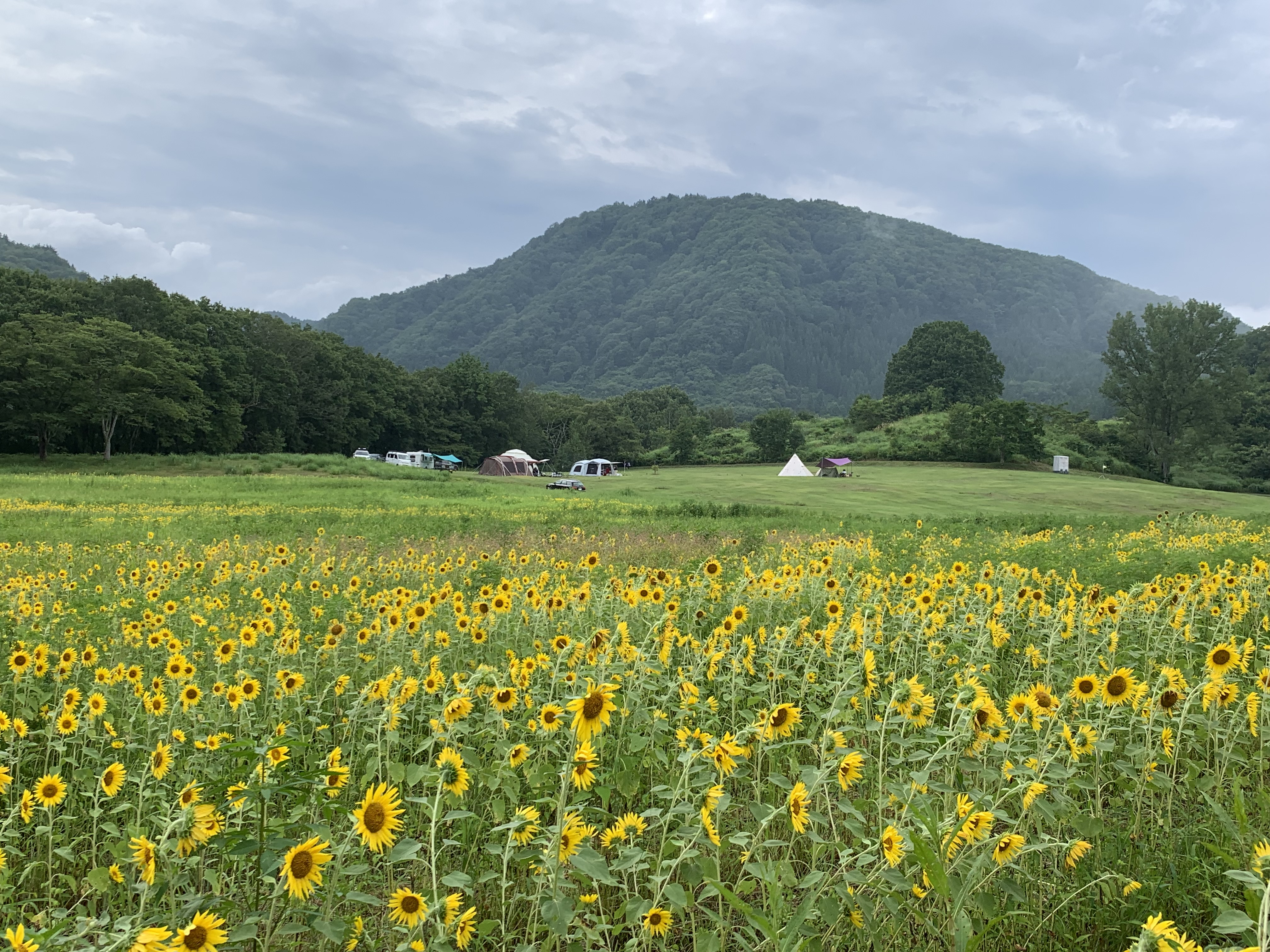 季節の画像　夏13