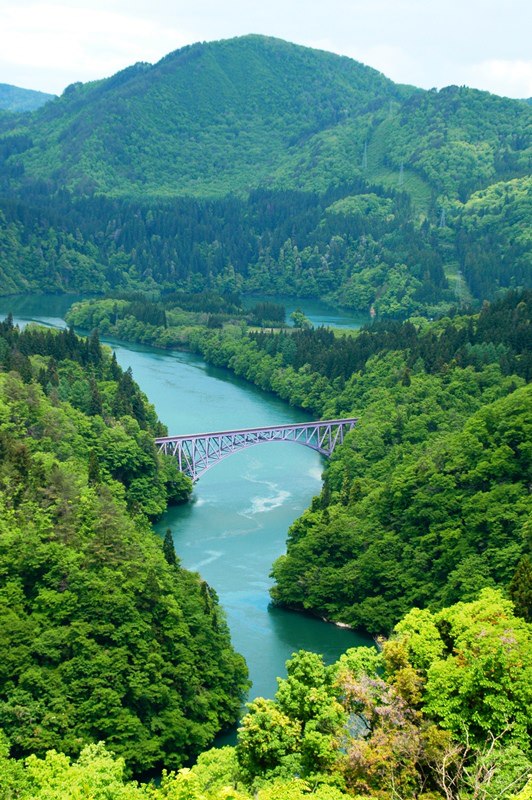 季節の画像　夏28
