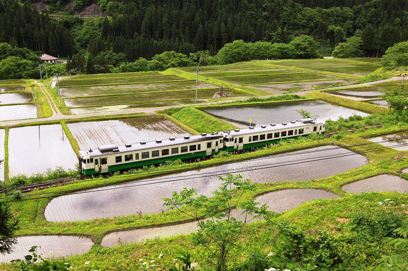 季節の画像　夏33