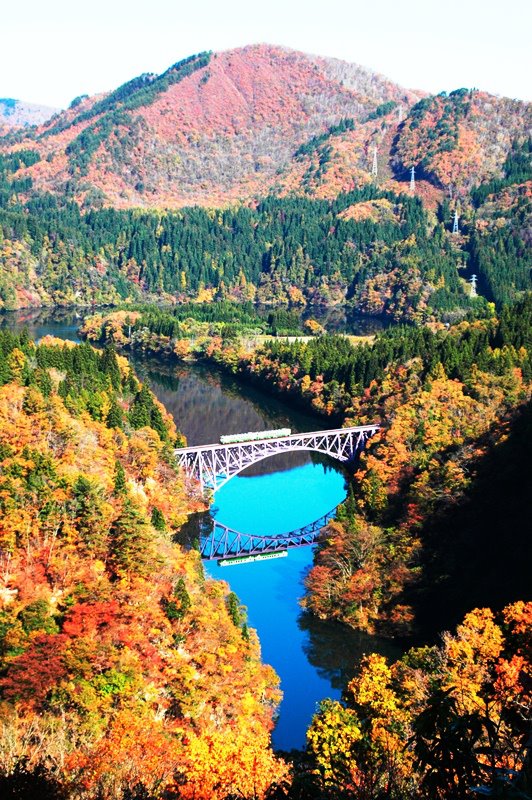季節の画像　秋06
