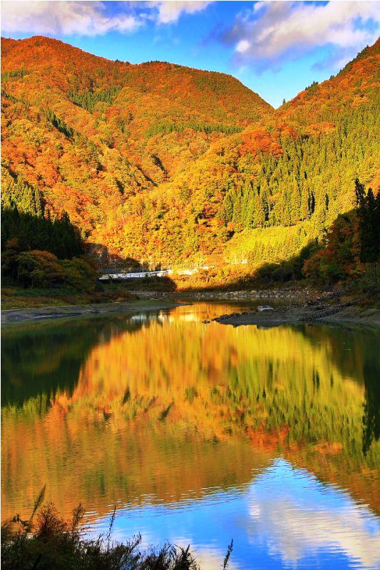 季節の画像　秋16
