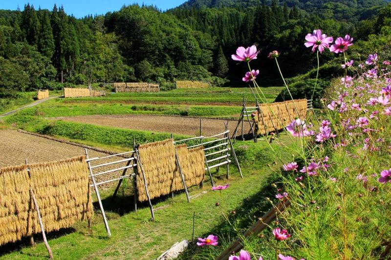 季節の画像　秋21