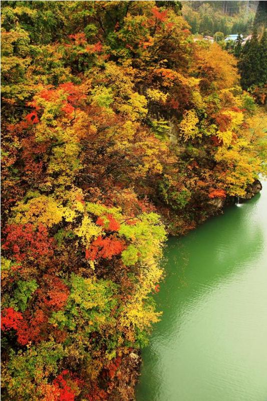 季節の画像　秋27