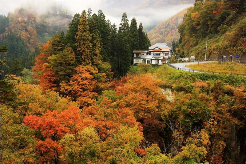 季節の画像　秋28