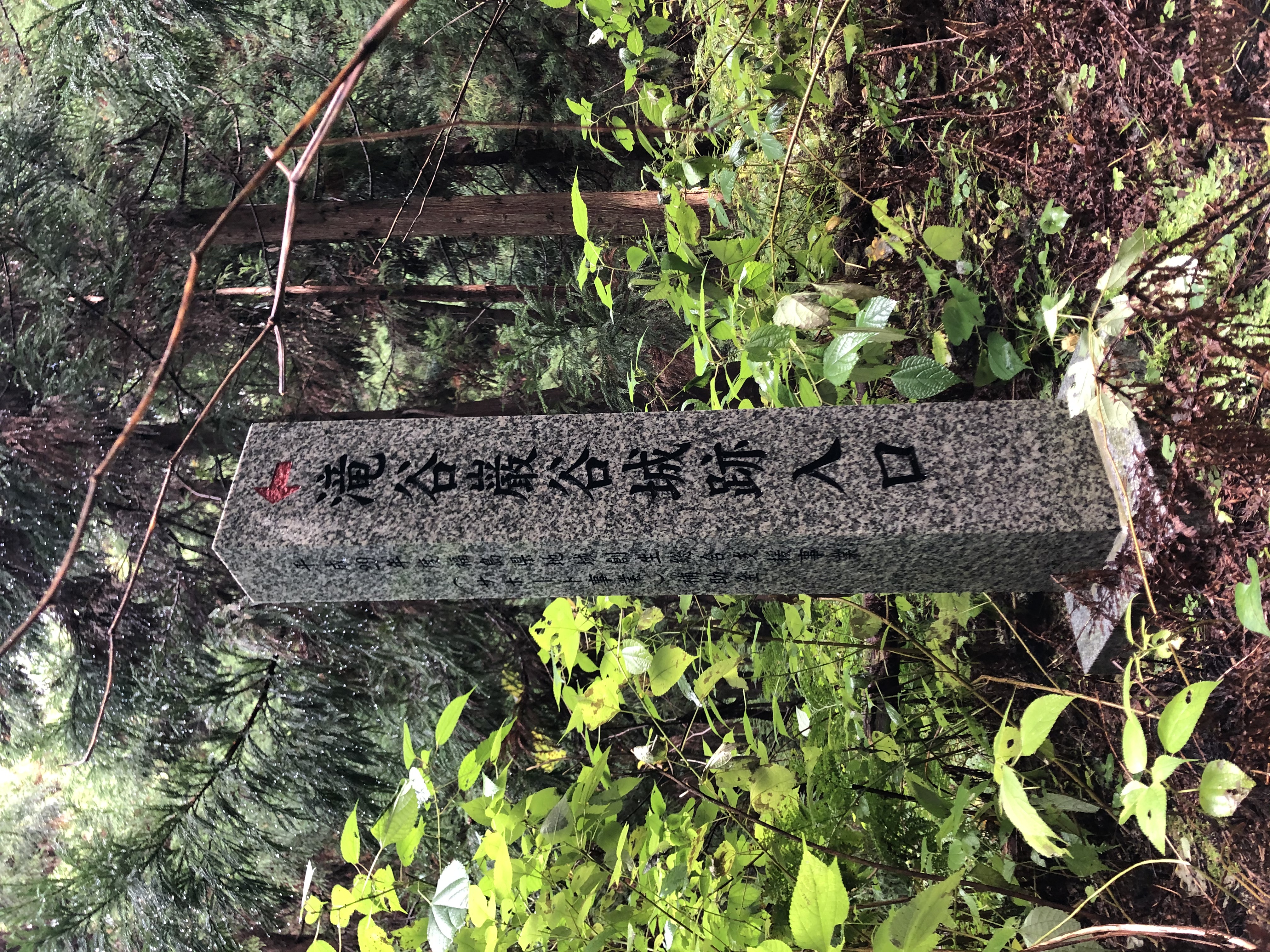 季節の画像　秋33